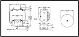 2 Pack Air Spring Bag & Air Suspension Compatible with Navistar Trucks Replacing Part Numbers W01-358-9648, 2027911C-1, 2027911C-2, 1R12-398, 1R12-538